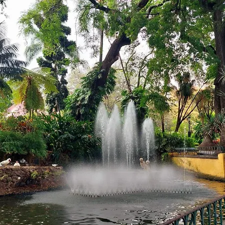 Apartmán Vista Pontinha